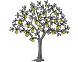 Menus - The Pear Tree Inn - Hook Norton